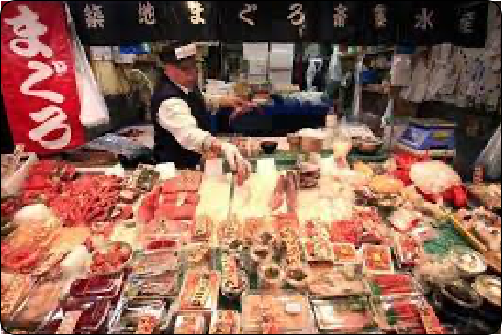 Half-Day Cherry Blossom Highlights Tour in Tokyo