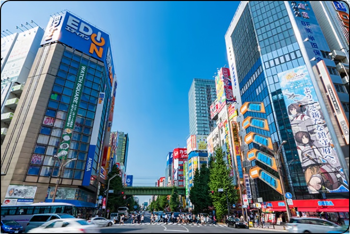 Ultimate One-Day Anime Tour