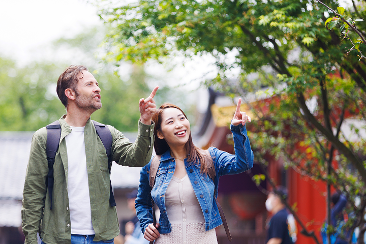 Expert Guides Leading Your Journey